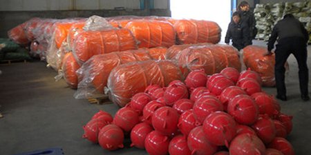 Le troisième projet de 50 cages en filet en RPDC se déroule sans heurts (remise des cargaisons à la RPDC)