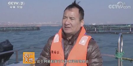 Table des terres agricoles - les crabes vivants des poissons vivent dans une villa d'appartements