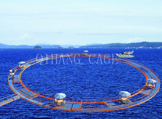 Cage De Pêche De Loisirs