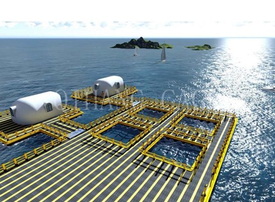 Plate Forme Ee Loisirs Dans l'eau