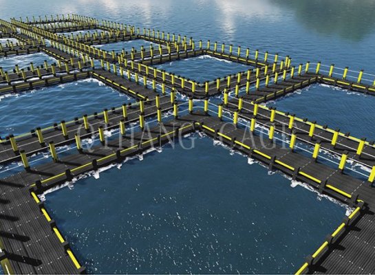 Cage De Pêche De Loisirs