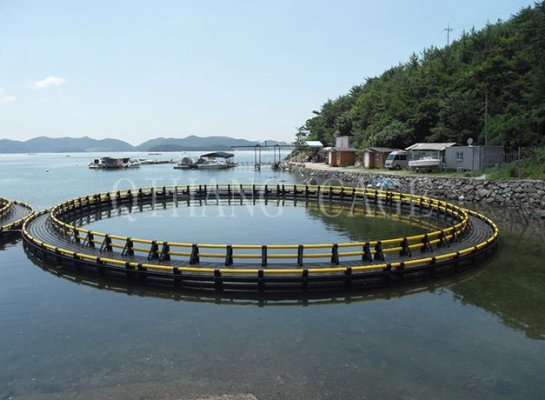 Cage De Pêche De Loisirs