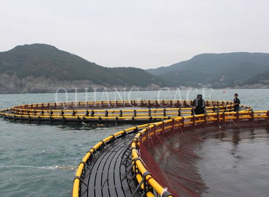 Cage De Pêche De Loisirs