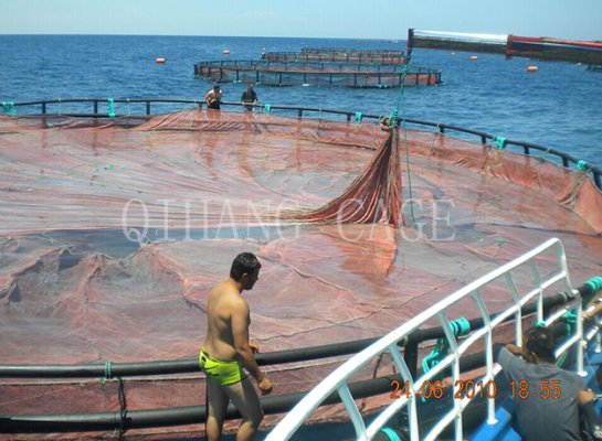 Filet Ee Pêche En Nylon