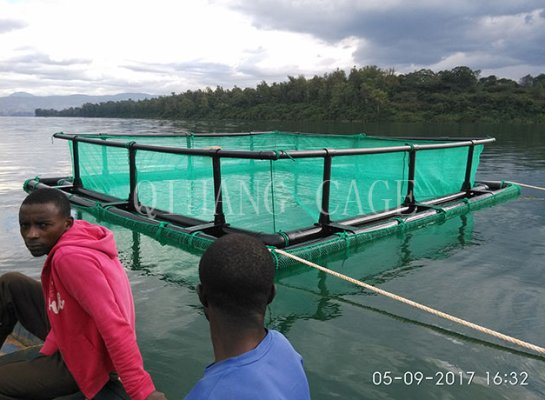 Filet De Pêche PE (Polyéthylène)