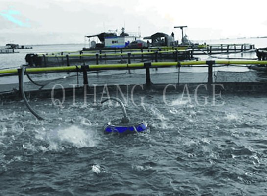 Système D'alimentation Automatique